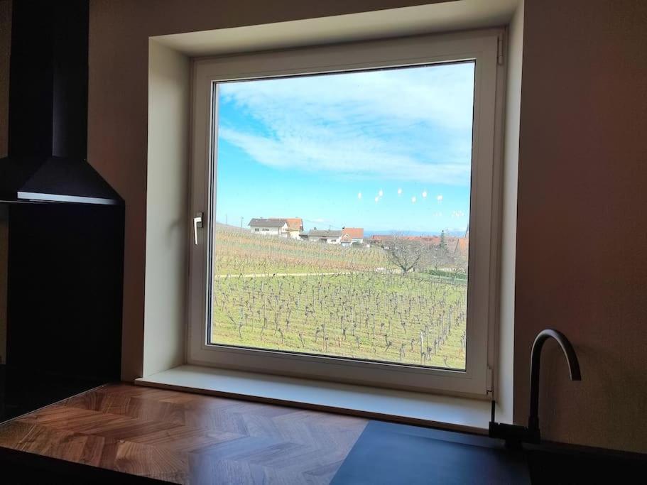 Vue Splendide Au Coeur Des Vignes Apartment Bergheim Exterior photo